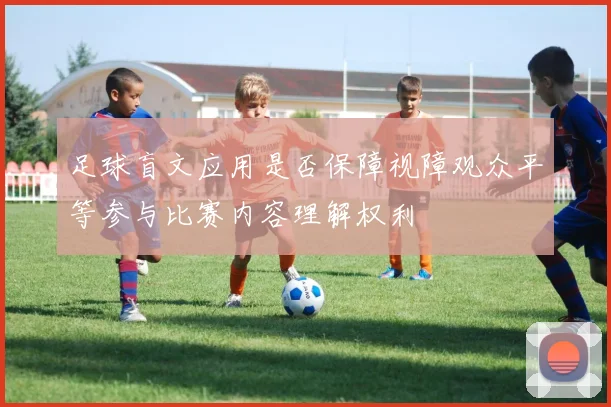 足球盲文应用是否保障视障观众平等参与比赛内容理解权利