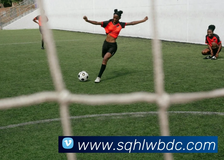 必一运动平台生态图