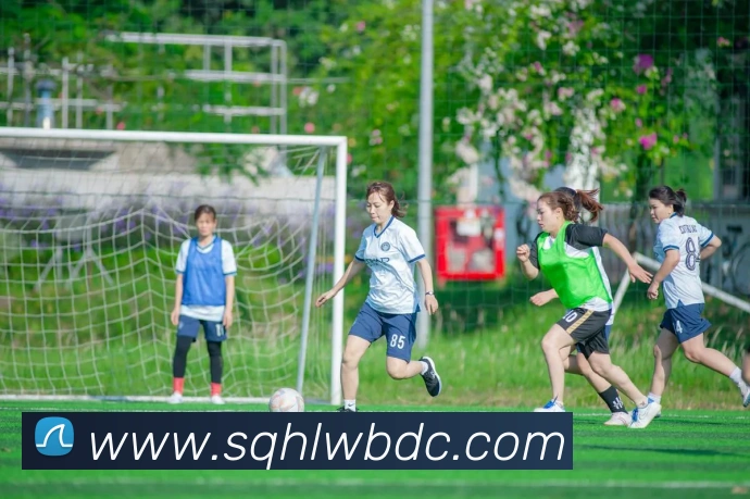 数据防护可视化